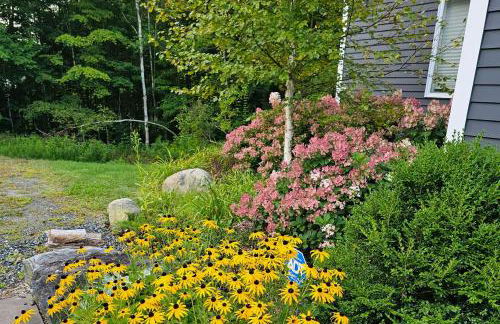 Frozen Jamaica - Foto 6