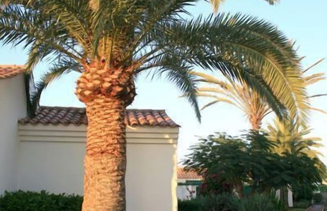 Campo Golf Bungalows - Foto 50