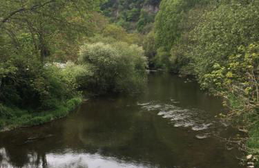 La Grange - Photo 70