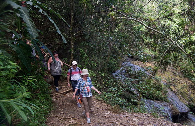 Escursione al parco Guanayara di Topes de Collantes - Foto 6
