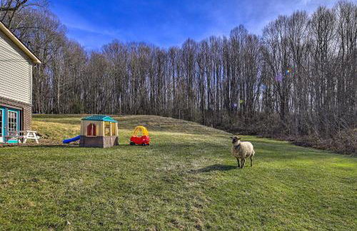 Pet-Friendly Home with Grill and Farm in Meadowview! - Foto 24