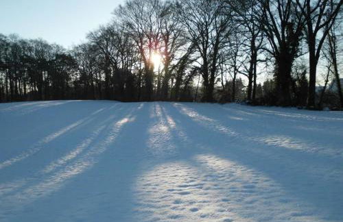 Holiday Home Hirtenkate Apartment 1 - Foto 47