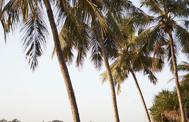 Tamarind Village Apartments - Foto 30