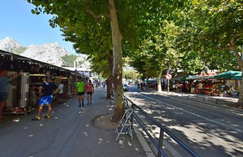 Apartment Mate - Photo 18