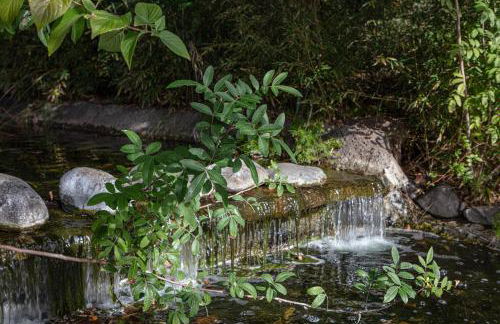 Apartamento Costalita - Photo 23