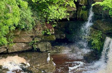 River Dance Cottage, Aysgarth - Foto 53