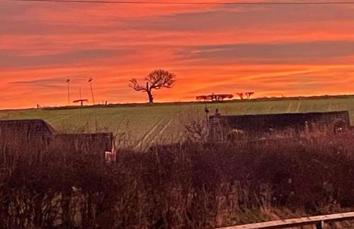 Newton house - Foto 35