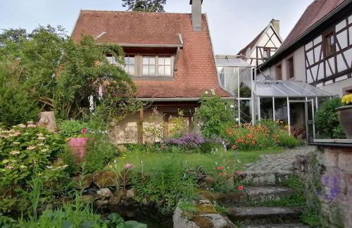 Traumblick Rebenmeer - Foto 22