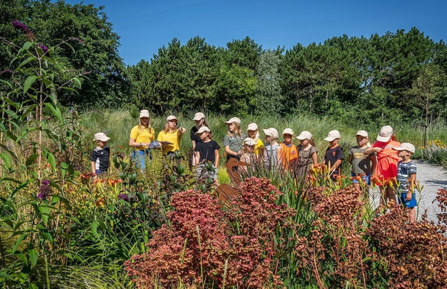 Detached Holiday Home With Dishwasher Located on Texel - Foto 70