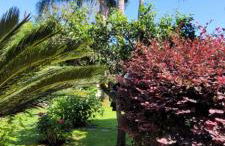 Villa Lidia - Foto 11