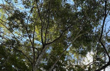 Sitio Lumiar com piscina aquecida São Roque de Maravilha - Foto 25