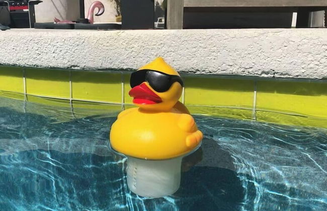 Amarillo House - Luxury Home With Pool Spa - Foto 9