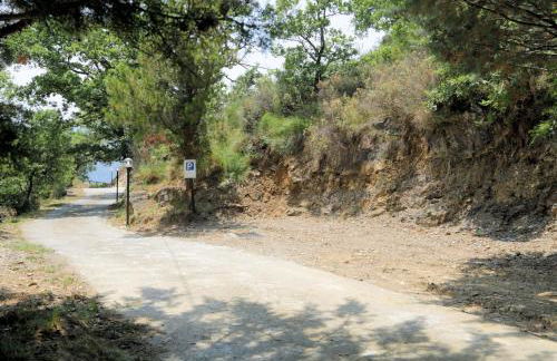 Case Natura - Foto 29