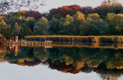 Fewo Am Otterbach - Foto 23