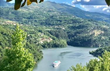 Pedacinho de Mundo Douro - Foto 9