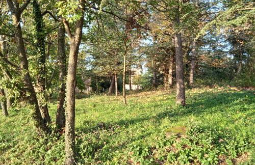 Maison calme avec piscine entourée de son parc - Foto 23