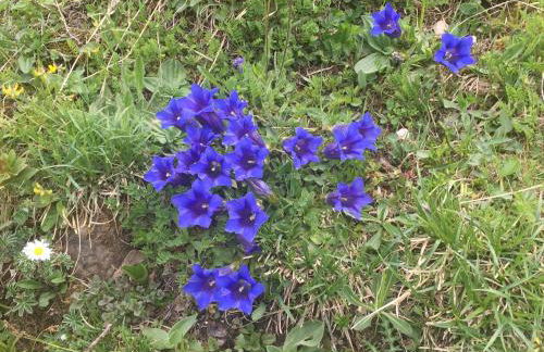 Bergblick Lodge - Photo 14