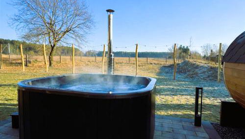 Traumvilla am Müritz Nationalpark, 17 Gäste, Sauna - Foto 5