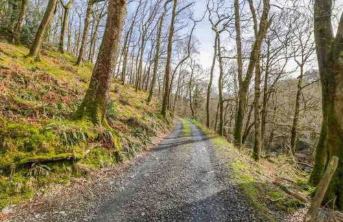 Pandy Farmhouse - Panoramic mountain views within Snowdonia's National Park - 4x4 Only - Foto 33