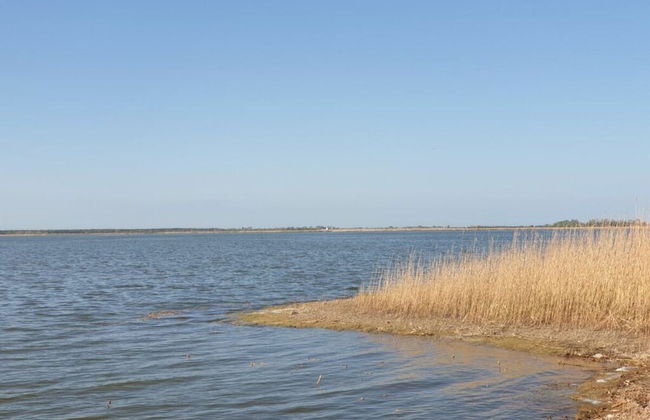 Seeschwalbe Modern Retreat - Foto 18