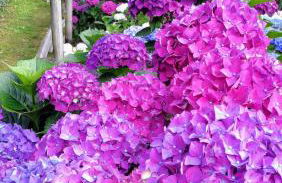 Green Relax in Maccagno - Foto 21