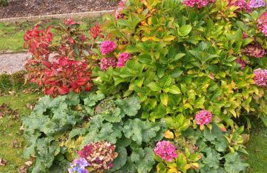 Lile Cottage at Gleaston Water Mill - Foto 20