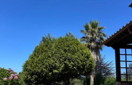 Casa La Bolera Casa de dos plantas porche y jardín - Foto 24