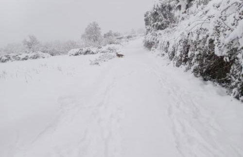 LES LLÚDRIGUES Casa Loft con aire ac y terraza - Foto 78