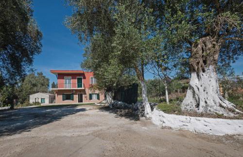 Village House In An Olive Grove! - Foto 1