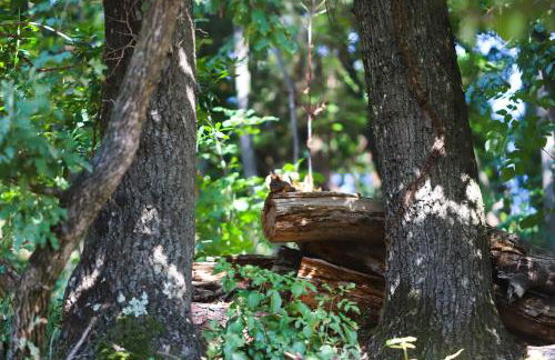 AGRITURISMO TERRA VOLONTERI - Foto 16