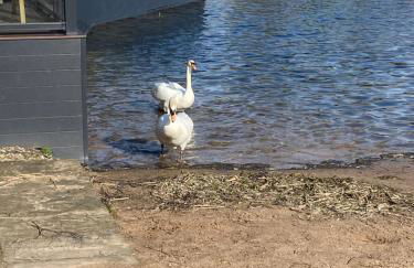 26 Sherwood, South Lakeland Leisure Village - Foto 10