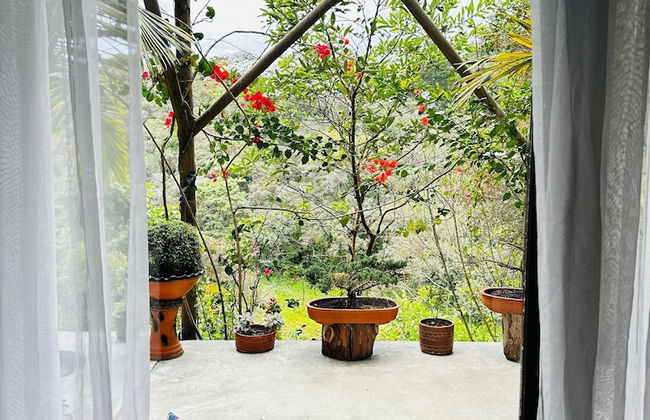 ecohotel zona 7 - Photo 35