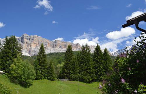 Ciasa Andy - Foto 29