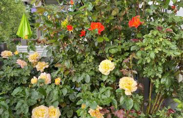 Apartament Różany - Foto 22