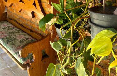 Casa do Pinheiro Petrópolis - Foto 58