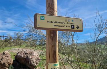 El Pitijopo - Foto 40