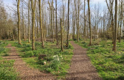 Yewberrie Yurt - Foto 17