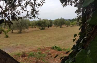 I Trulli Di Nonno Giovanni - Foto 33