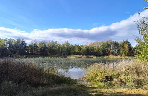 Kleine Freiheit Nummer 3 - Foto 12