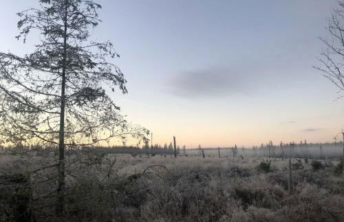 Altes Forsthaus Königskrug - Foto 12