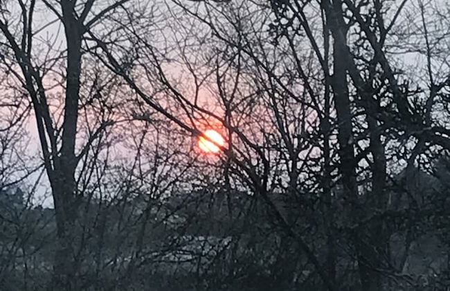 Strandsegård Ferielejligheder - Foto 59