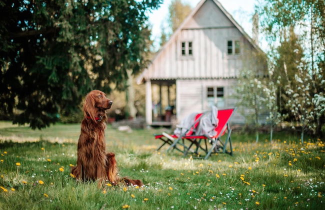 Holiday Home in Belczna Near Lake Klepnicko - Foto 24