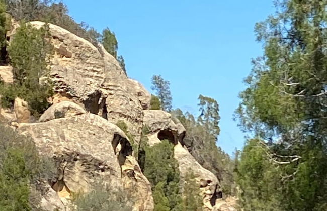 Villa in the Mountains Hammamet - Foto 48