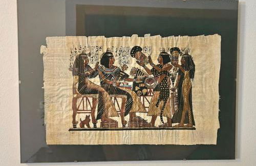 Unique ! Montpellier proche centre Maison avec jardin - Photo 7