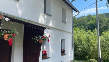 Dom Pod Dębem Agroturystyka - Foto 4