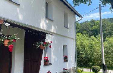 Dom Pod Dębem Agroturystyka - Foto 4