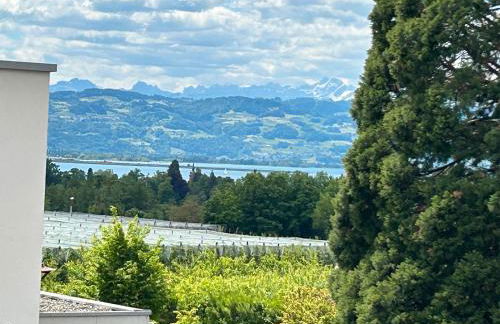 Ferienwohnungen Meyer - Foto 28