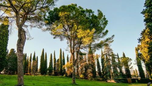 Villa Betteloni Valpolicella Suites - Foto 4, Garden