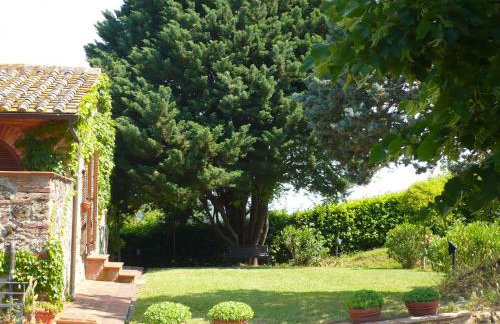 Podere Sionne - Foto 31