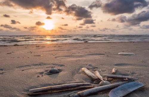 EBBEUNFLUT - Photo 45